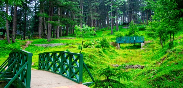 Patnitop Tour Packages