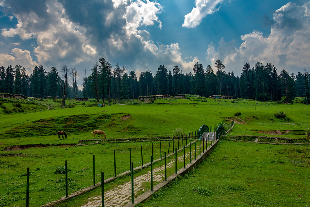 Kashmir in June