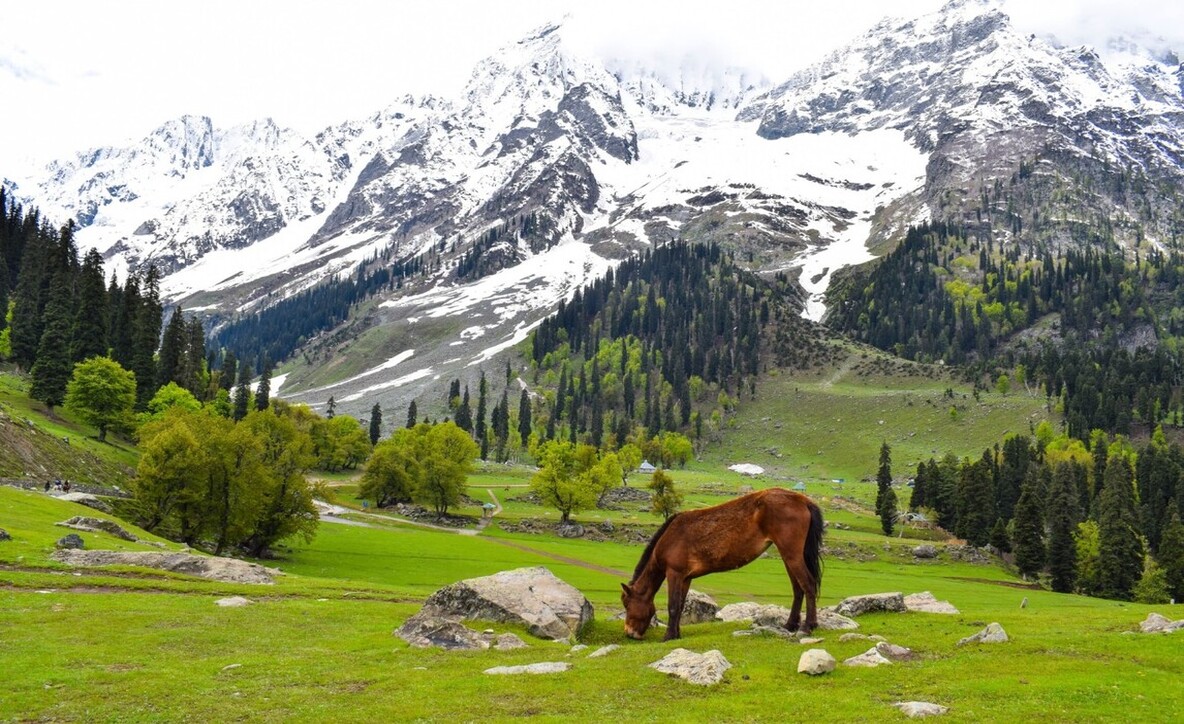 kashmir travel season