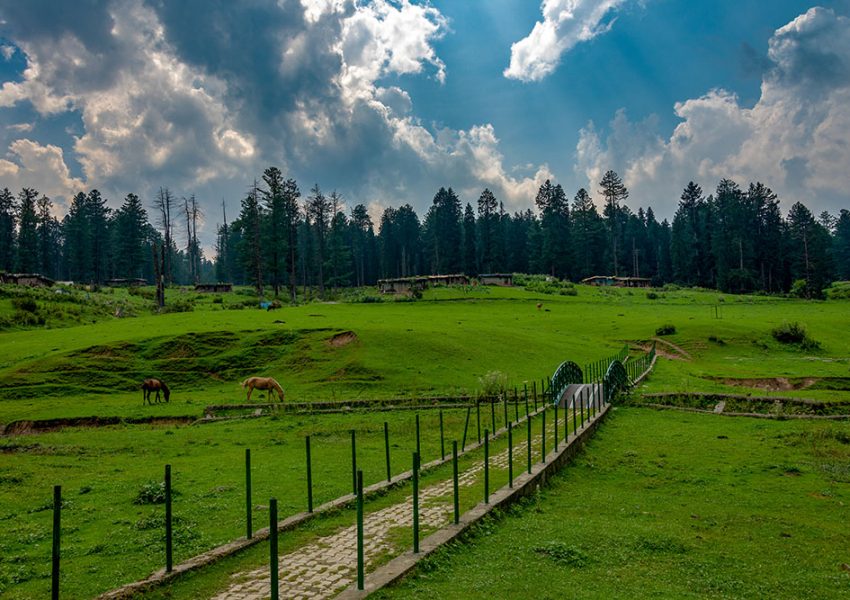 Kashmir in June