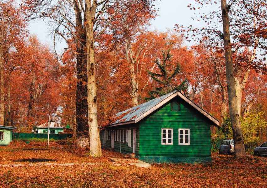 Kashmir in October