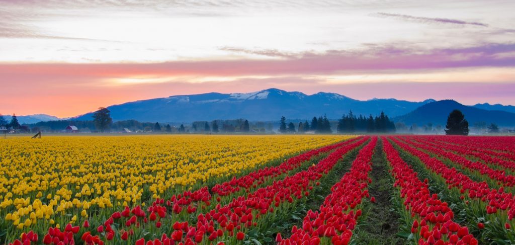 kashmir in april