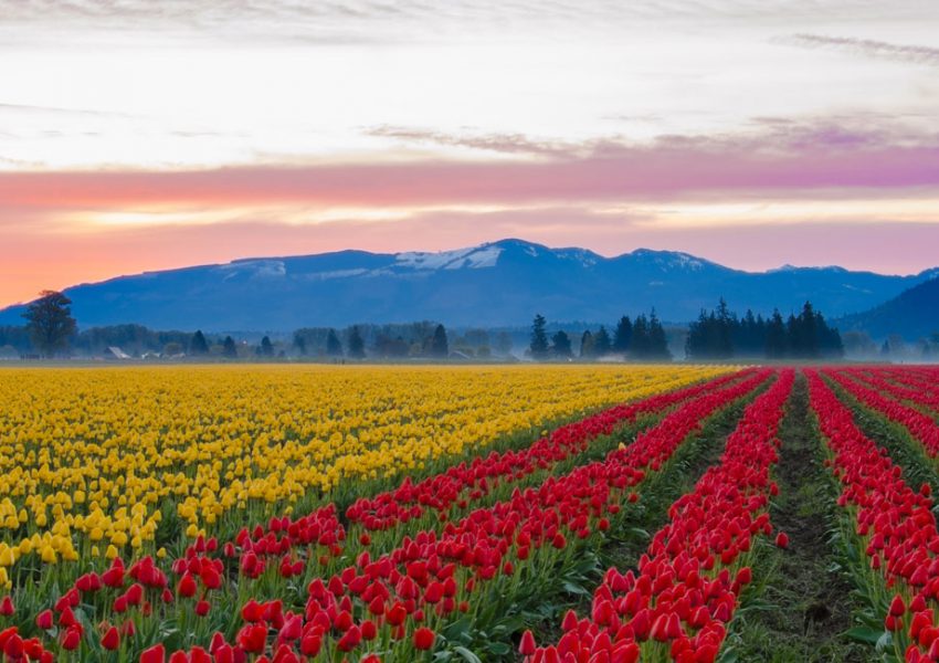 kashmir in april