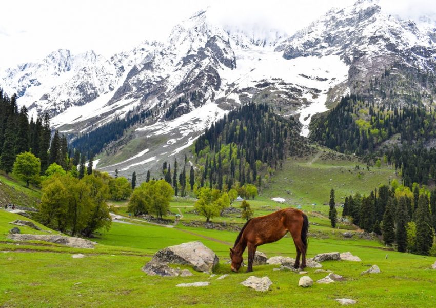 kashmir in august