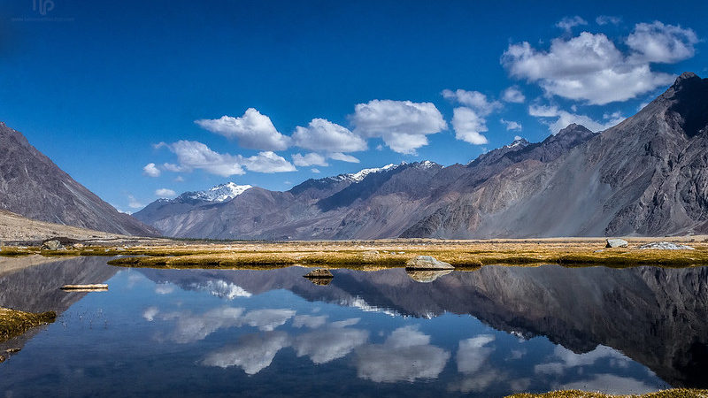 leh ladakh tour packages