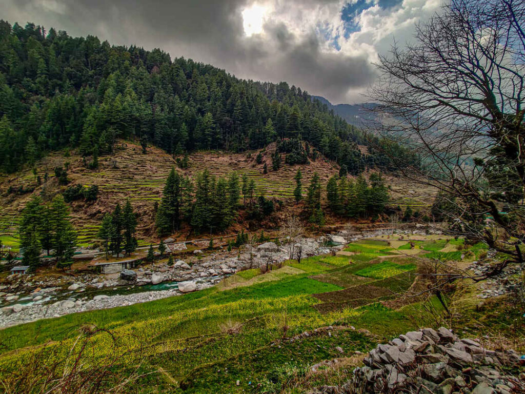 Himachal's Hidden Gem Barot Valley Plan Your Getaway