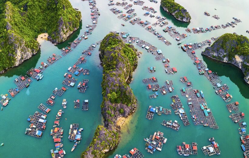 6 Days Vietnam Tour From India with Hanoi, Halong Bay & Danang